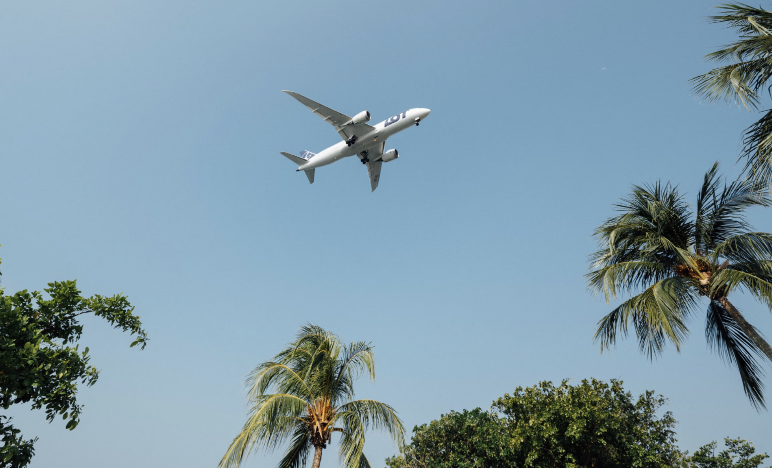 Greenback Flight Membership Overview: Might It Save You Tons of of {Dollars} on Your Subsequent Flight?